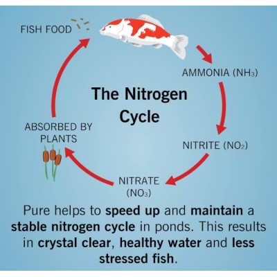 Гелеві кульки Evolution Aqua Pure Pond 2000 мл