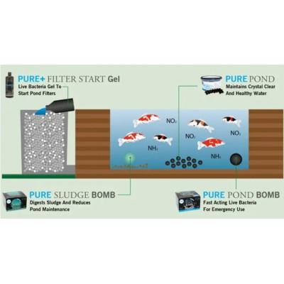 Гелеві кульки Evolution Aqua Pure Pond 2000 мл